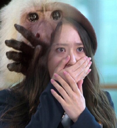 밀유 이미지