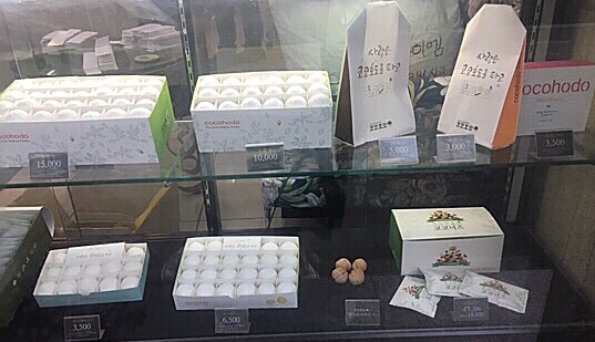 코코호도 둔산점 이미지