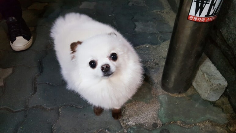 더마블링 이미지