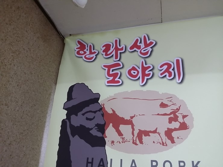 일출봉아로니아 이미지