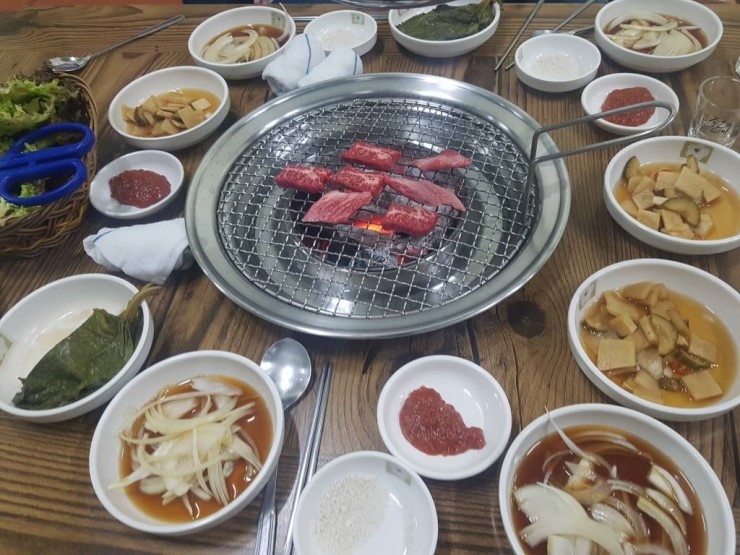 순한우암소한마리 이미지