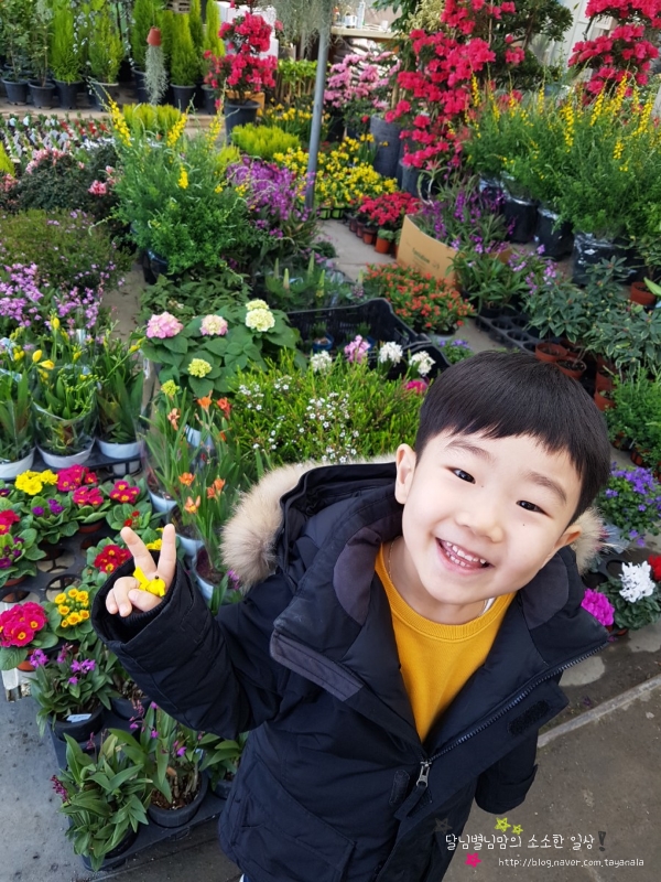 봄이네꽃화원 이미지