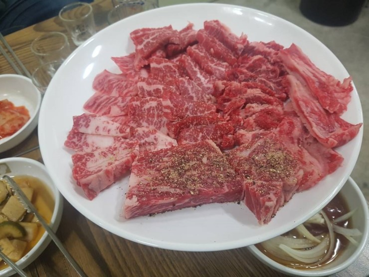 순한우암소한마리 이미지
