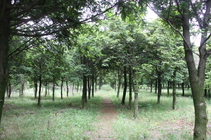 (주)즐거운 제주여행 이미지
