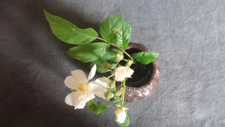 김내과의원 이미지