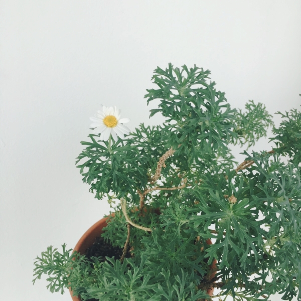 김가푸드 이미지