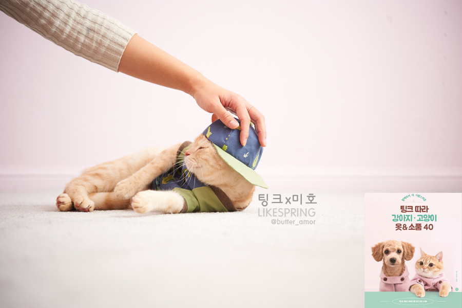 팅크 이미지