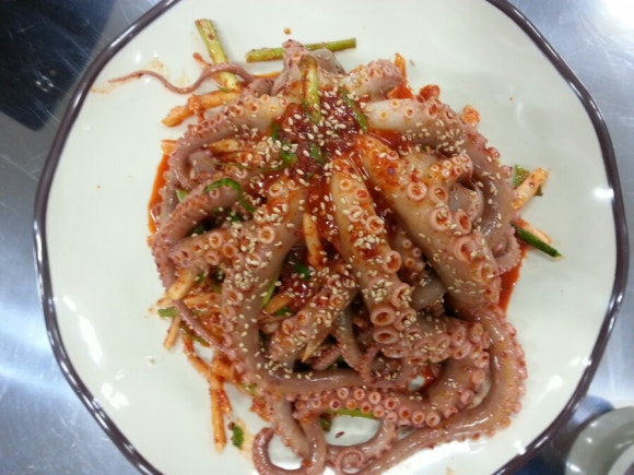 드보라화원 이미지