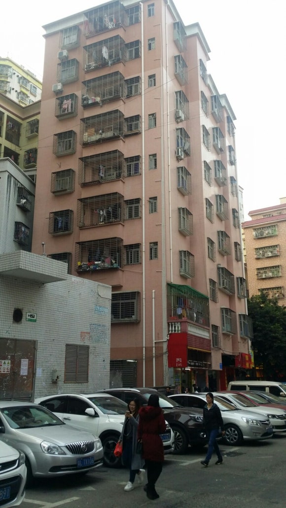 룡화 이미지