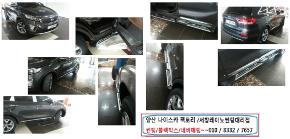 나이스카 이미지