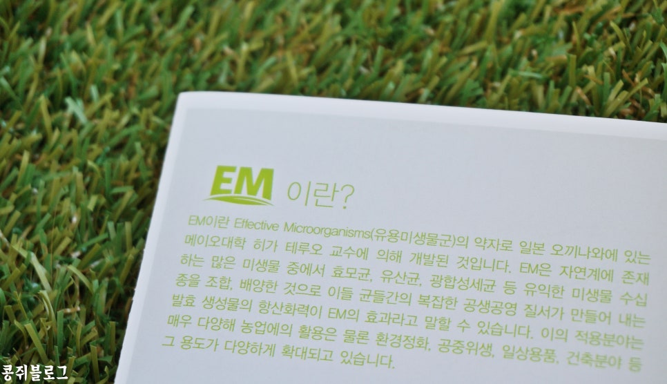 로하스에버 이미지