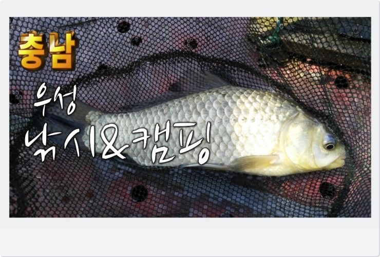 우성낚시 이미지