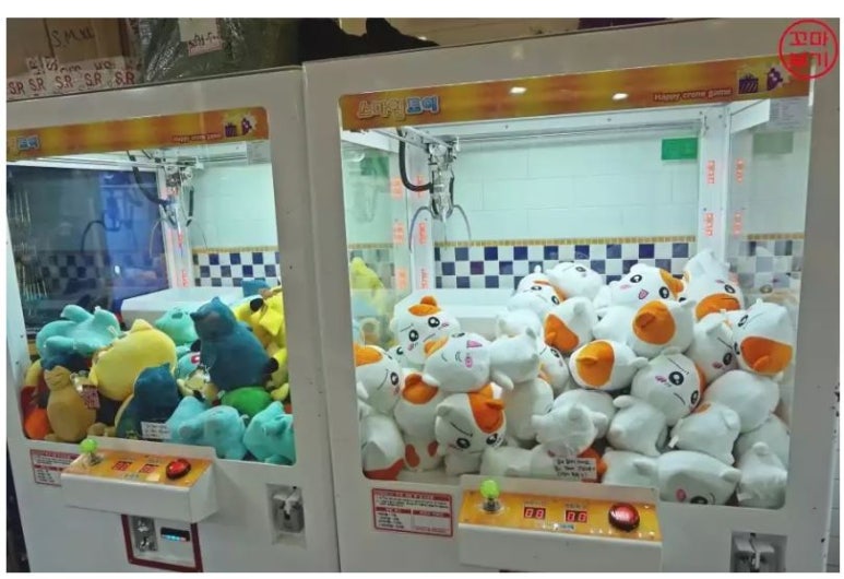 인형뽑기 이미지