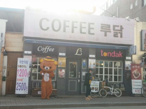 드보라화원 이미지