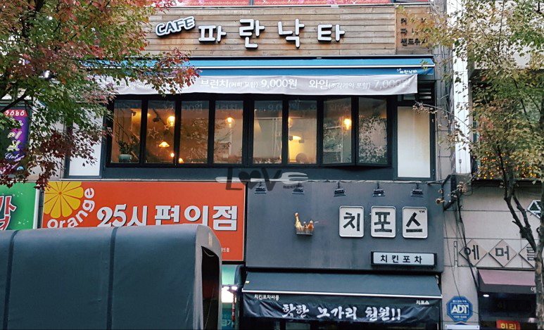 파란낙타 이미지