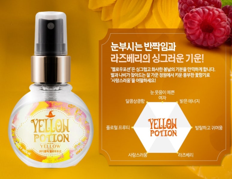 홀릭영 이미지