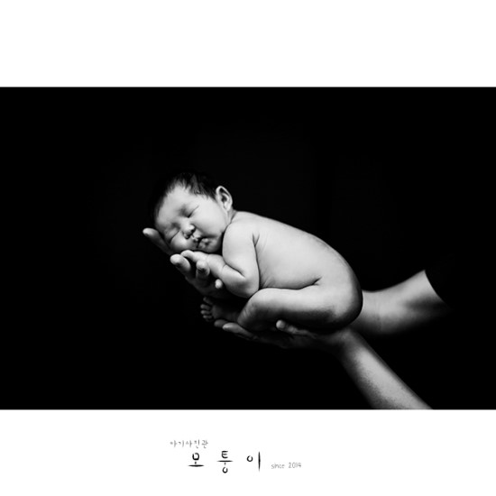 내가본사진관 이미지