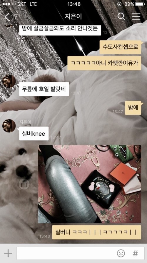 비비상회 이미지