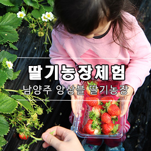앙상블딸기농장 이미지