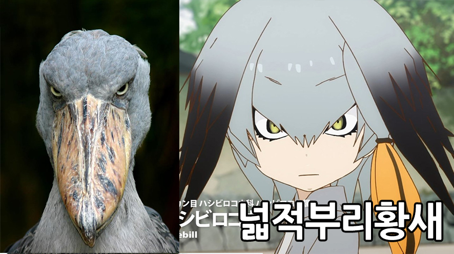 애니프렌즈 이미지