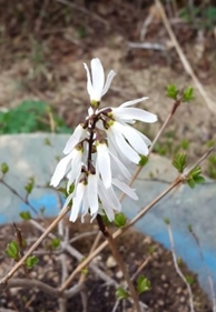 (주)엠알이노베이션 이미지