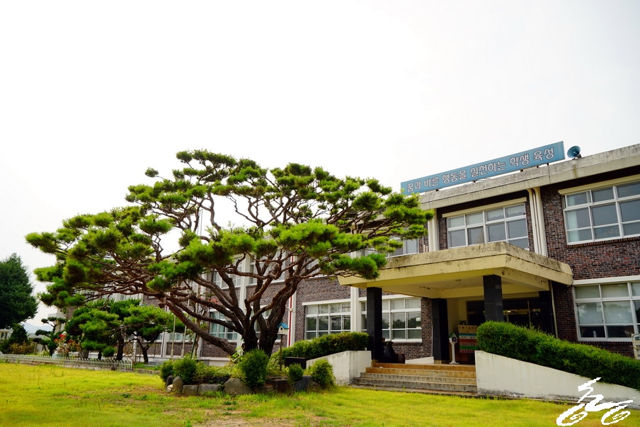 도비예술학교 이미지