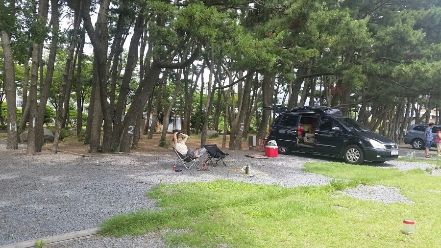 달성관광(주) 이미지