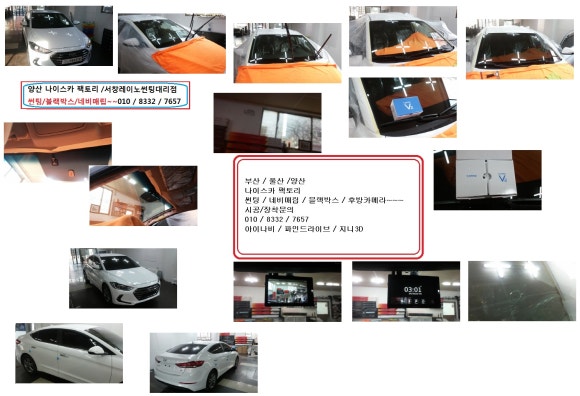 나이스카 이미지