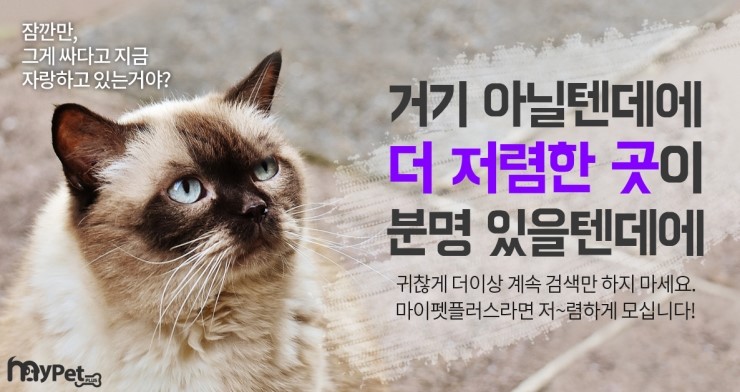 수플러스팬션 이미지