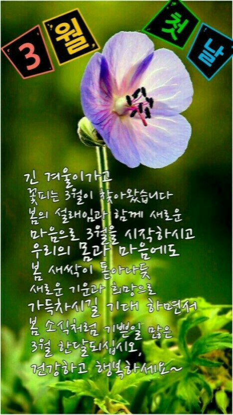 드보라화원 이미지