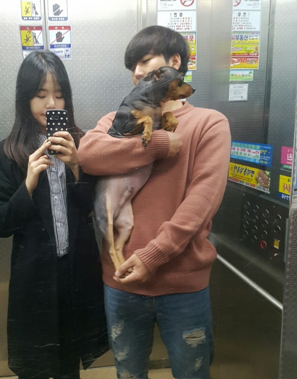 돌쇠떡집 이미지