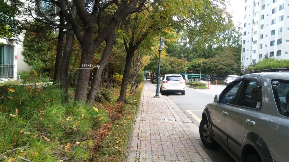 화인조경 이미지