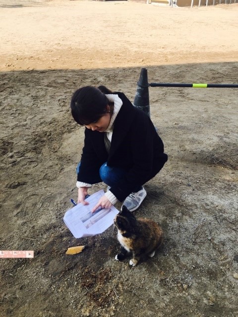 궁평산업 이미지