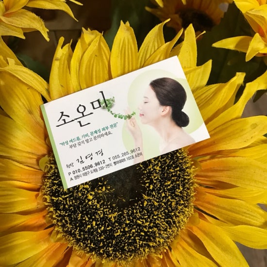 소온미 이미지