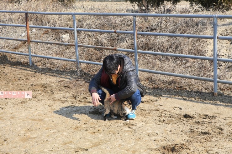 궁평산업 이미지
