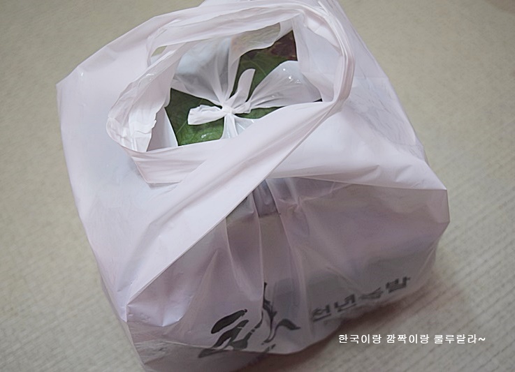 천년족발 이미지