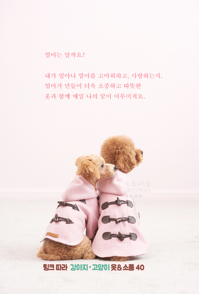 팅크 이미지