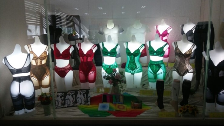 브리스건강기능성속옷 이미지