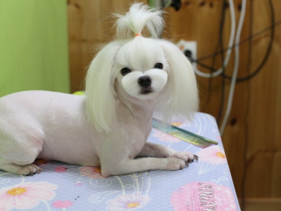 강미용실 이미지