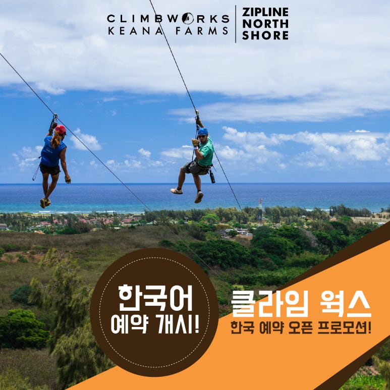 알로하웍스 이미지