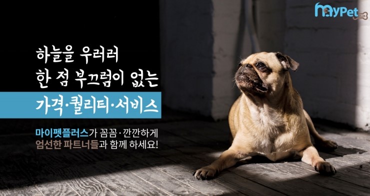 수플러스팬션 이미지