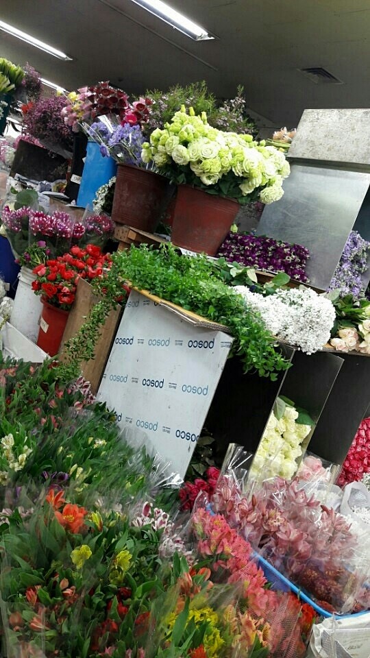 양재디자인 이미지