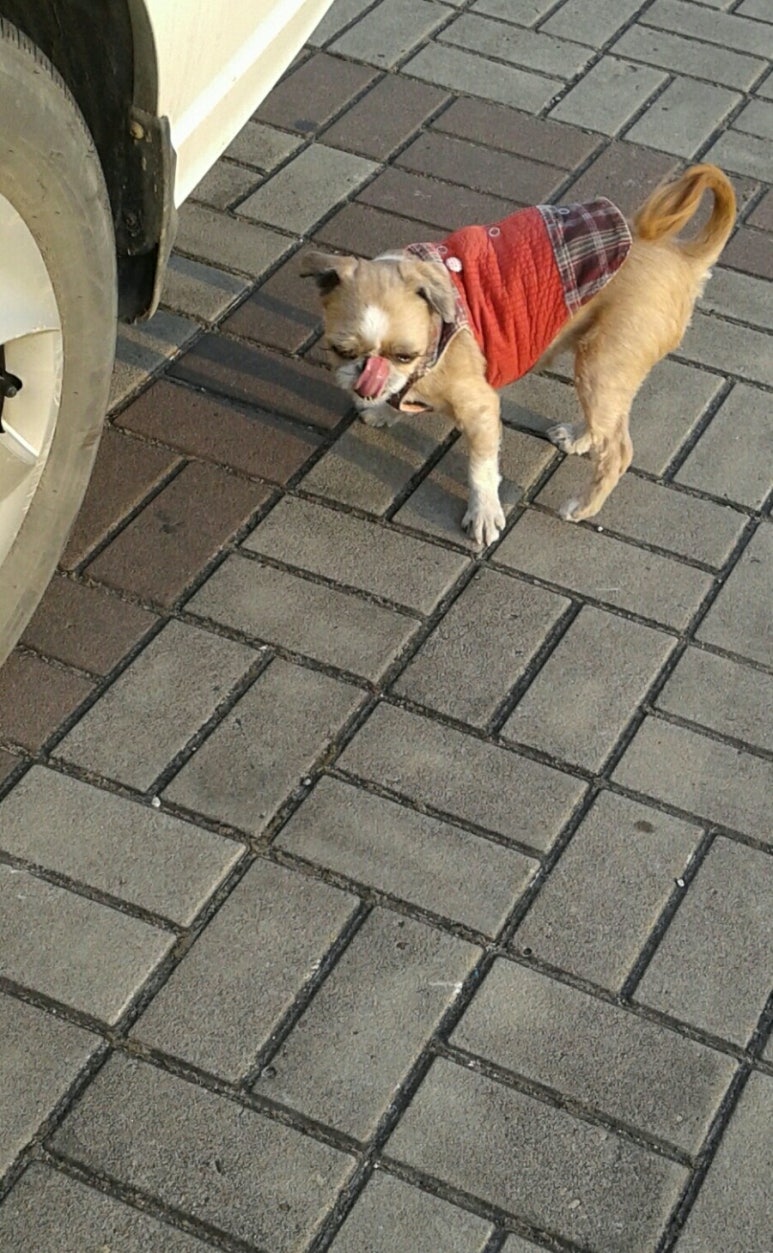 (주)한비 이미지
