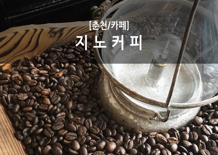 지노(JiNo) 이미지
