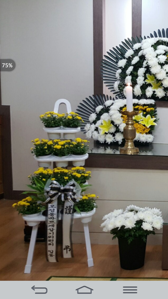 드보라화원 이미지