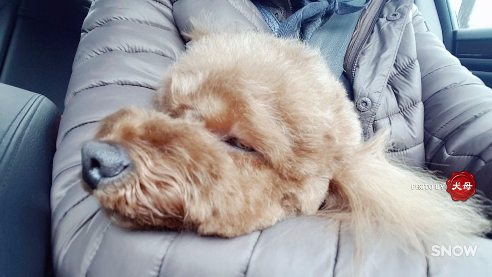 담비살롱 이미지