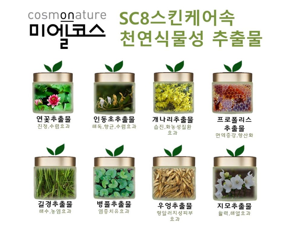 코스모네이처 이미지