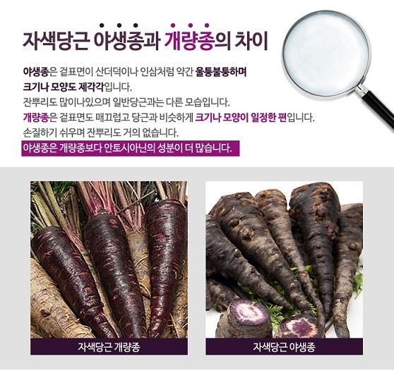 햇빛농산 이미지