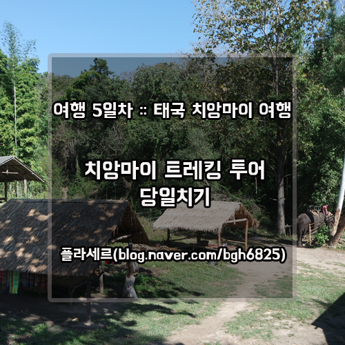 플라세르 투어 이미지