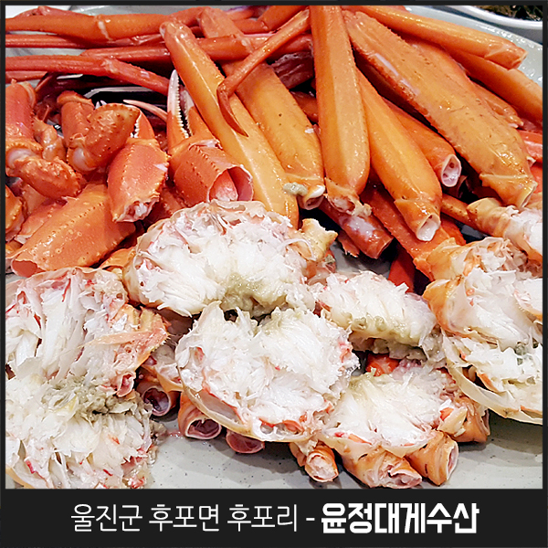 최가네회집 이미지